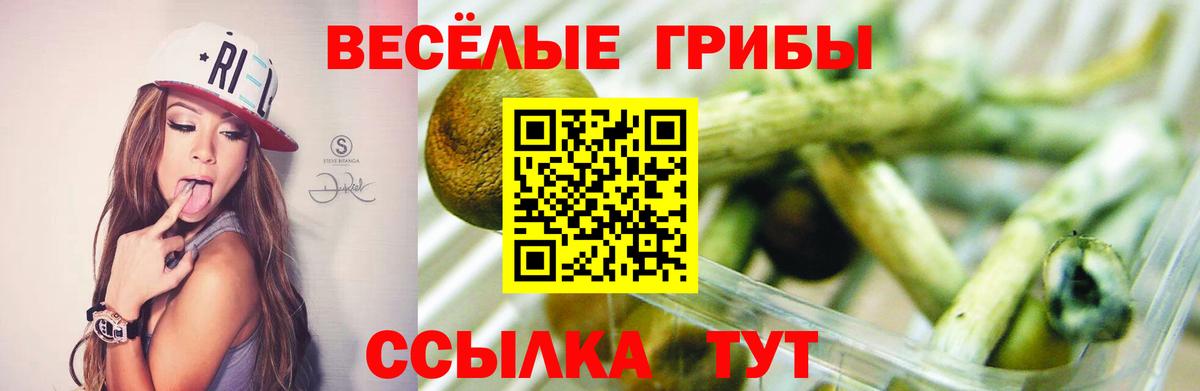 Псилоцибиновые грибы MAGIC MUSHROOMS  Вход с VPN  Усть-Илимск 
